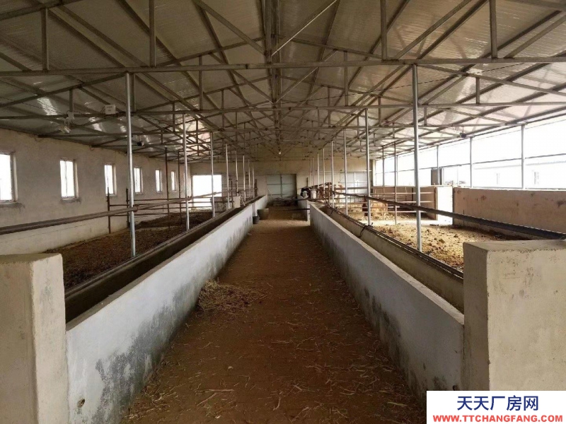 (出租) 赤峰条件好，交通便利。适合养牛，羊等。价格可以面议