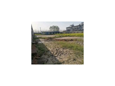 (出租) 驻马店平舆养殖场，可养殖猪牛羊图1