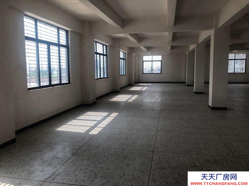 (出租)潮州潮安鹳一潮汕公路旁 仓库出租 电商仓库