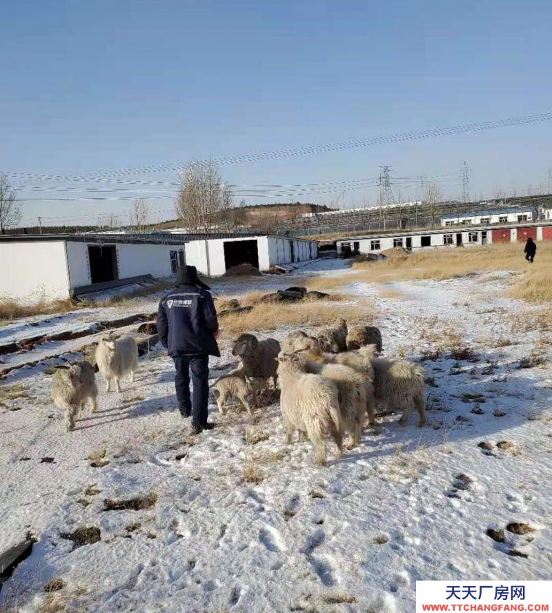 (出售) 鄂尔多斯占地14亩，建筑面积1500平米