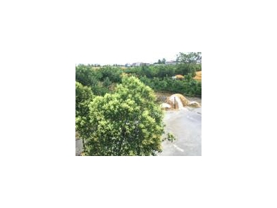 (出租) 驻马店泌阳县泰山三官庙 养家禽场地图4
