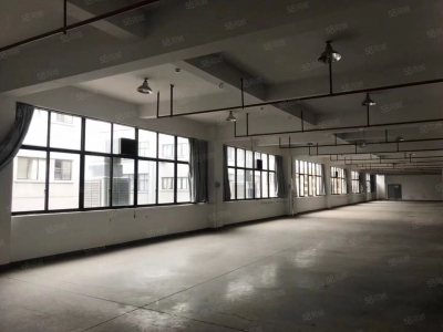 衢州市龙游(出租) 10吨汽车电梯可上楼，欢迎大家居轻加工类企业进驻图2