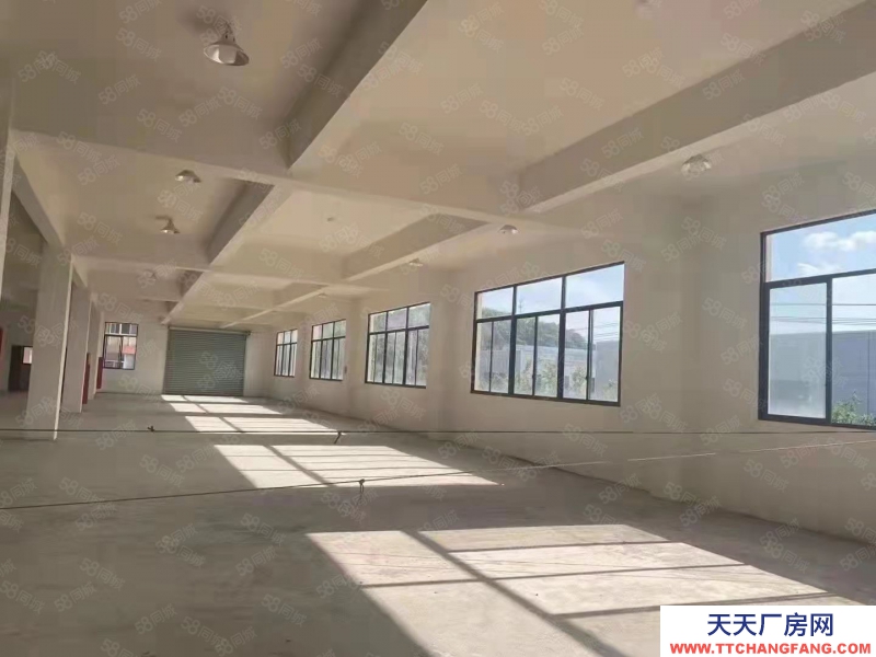衢州市龙游(出租) 标准厂房火热招商，汽车电梯上楼，层层都是一楼。调味品   肉制品