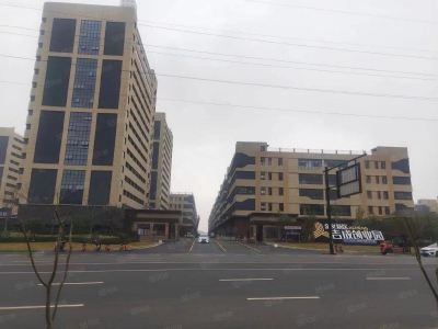 衢州市龙游(出租) 标准厂房火热招商，汽车电梯上楼，层层都是一楼。调味品   肉制品图2