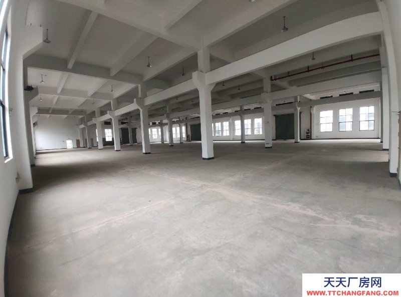 衢州市龙游(出租) 一楼 1040方 变压器装好 8.4米层高 粮食加工品