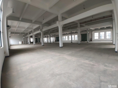 衢州市龙游(出租) 一楼 1040方 变压器装好 8.4米层高 粮食加工品图1