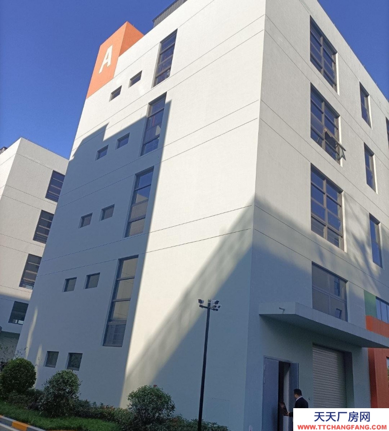 衢州市龙游(出租) 沙田大道新厂房整体出租 冷冻饮品   速冻食品