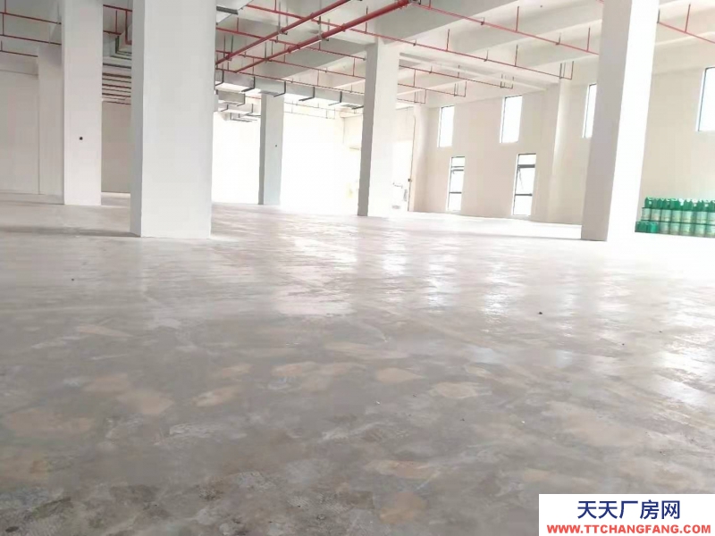 衢州市龙游(出租) 现房厂房出租 单一层 2000平左右 特殊膳食食品
