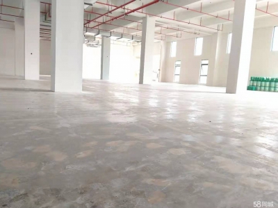 衢州市龙游(出租) 现房厂房出租 单一层 2000平左右 特殊膳食食品图1