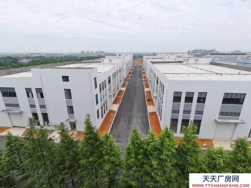 衢州市龙游(出租) 现房厂房出租 单一层 2000平左右 特殊膳食食品