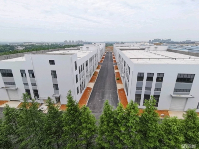 衢州市龙游(出租) 现房厂房出租 单一层 2000平左右 特殊膳食食品图2