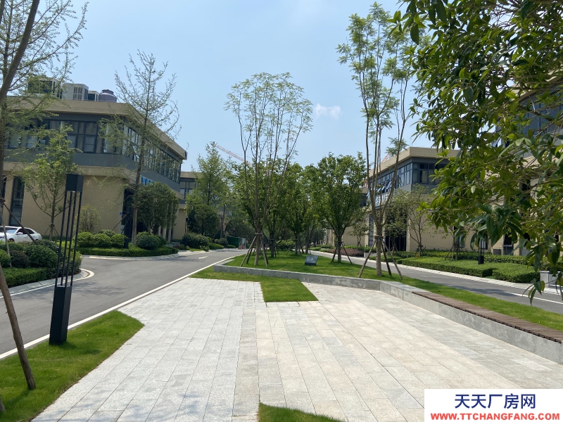 出售双流西航港品质厂房！50年产权！紧邻高速和机场！