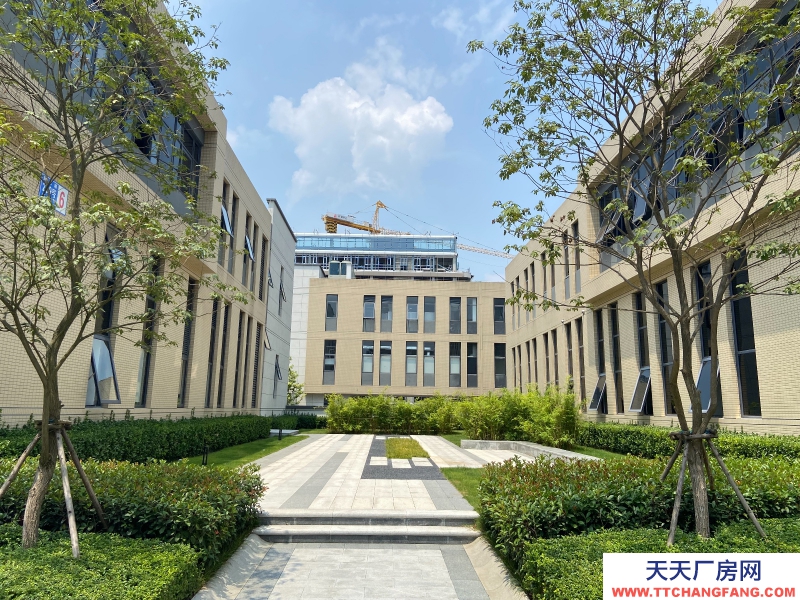 出售双流西航港品质厂房！50年产权！紧邻高速和机场！
