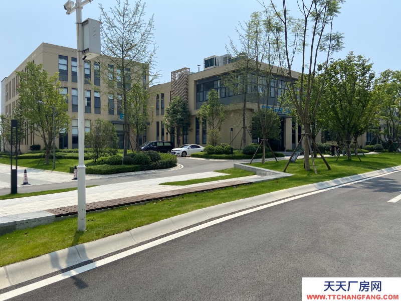 出售双流西航港品质厂房！50年产权！紧邻高速和机场！