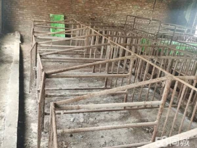 兴安260平养猪场接手就能用，带100平平房图1