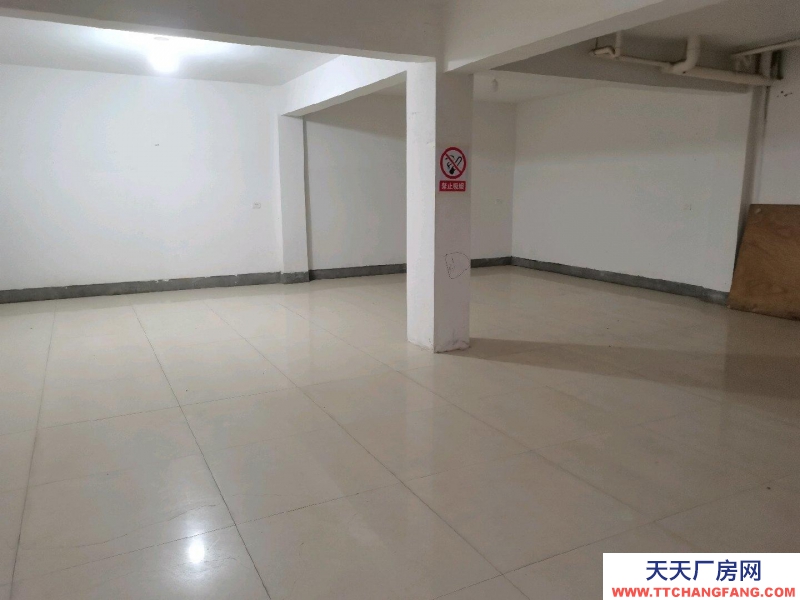 衢州市龙游(出租) 自建民房，地下坡道仓库。