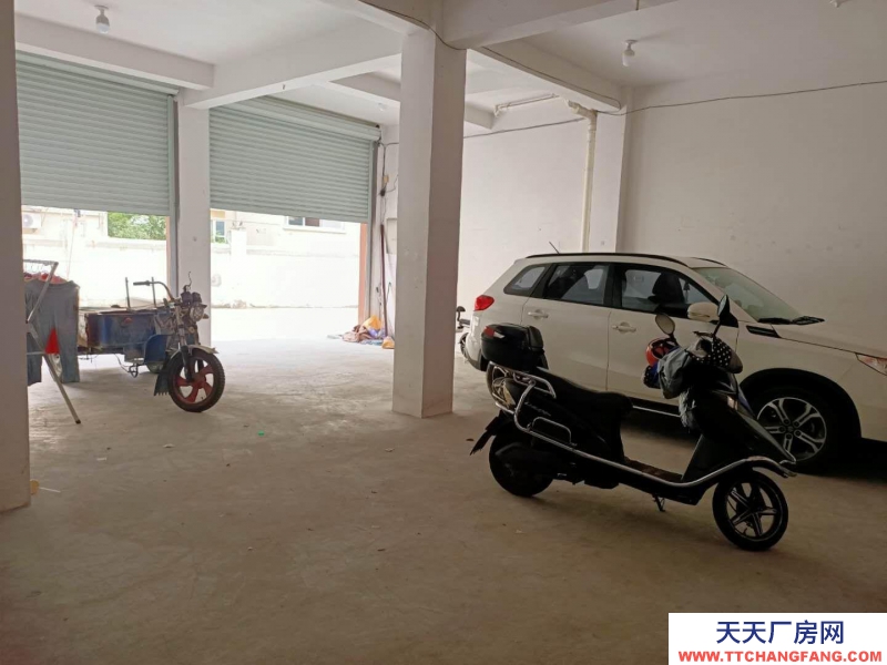 衢州市龙游(出租) 交通方便 敞明亮 可以办公 也可以做仓库