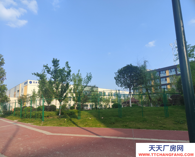 臻贵品质！你值得拥有！新都区高品质厂房！现房出租！