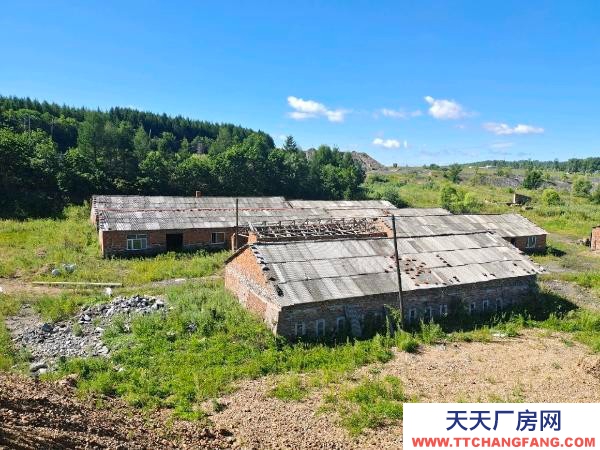 东山有水有电，适合搞养殖