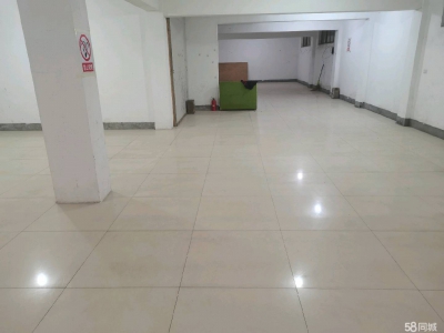 衢州市龙游(出租) 龙游北站茶圩里村新建小区，属于自建民房图2