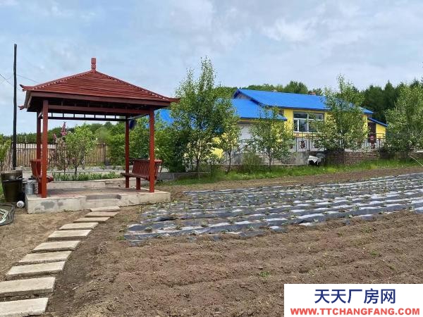 东山疏园乡老头沟 可养殖 1000平米建房