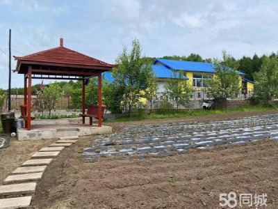 东山疏园乡老头沟 可养殖 1000平米建房图1