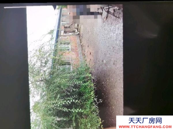 东山适合仓库，厂房，养殖