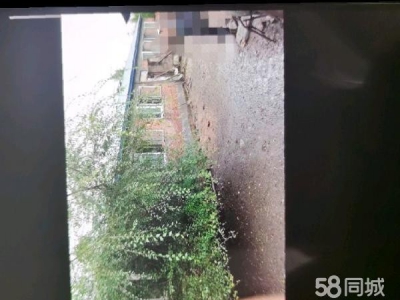 东山适合仓库，厂房，养殖图1