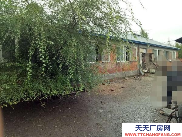 东山适合养殖，有上下水，有院子可以自己种菜