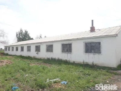 萝北梧桐河养殖厂 猪舍 急租急售图1