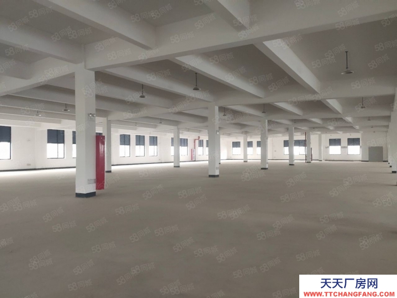 衢州市龙游(出售) 全新标准厂房适合轻加工企业进驻  纺织，服装，电商 五金