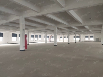 衢州市龙游(出售) 全新标准厂房适合轻加工企业进驻  纺织，服装，电商 五金图2