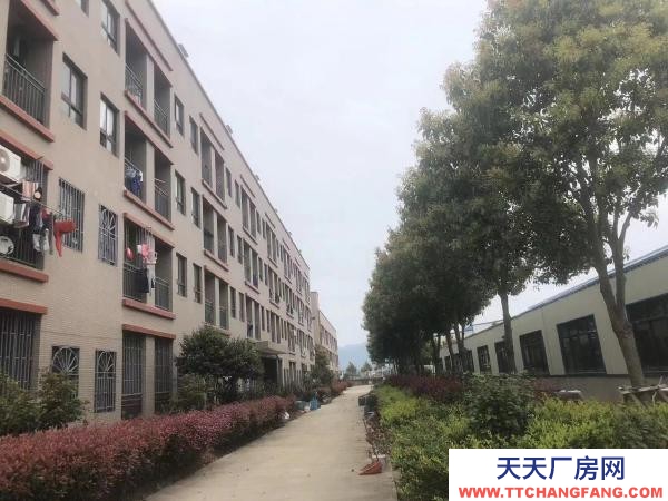 福州市福清调味料厂房 出租福清阳下洪宽工业村自有标准厂房 房东直租 租金面议