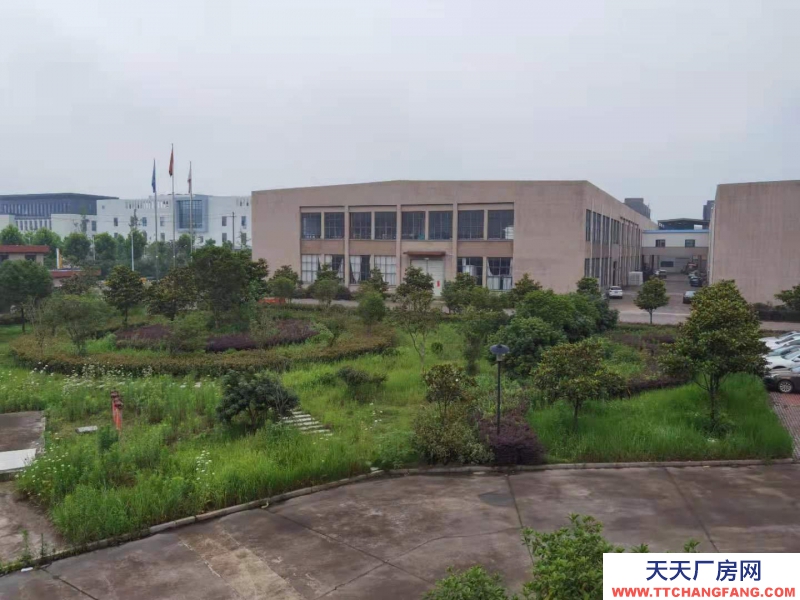 衢州市江山(出租) 出租山海协作厂房江山市区和峡口桐村 印花类、镀金类