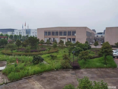 衢州市江山(出租) 出租山海协作厂房江山市区和峡口桐村 印花类、镀金类图1