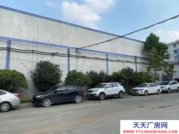 福州市福清包装饮用水厂房  全新12米高一楼厂房4500至11000证件齐全大变压器