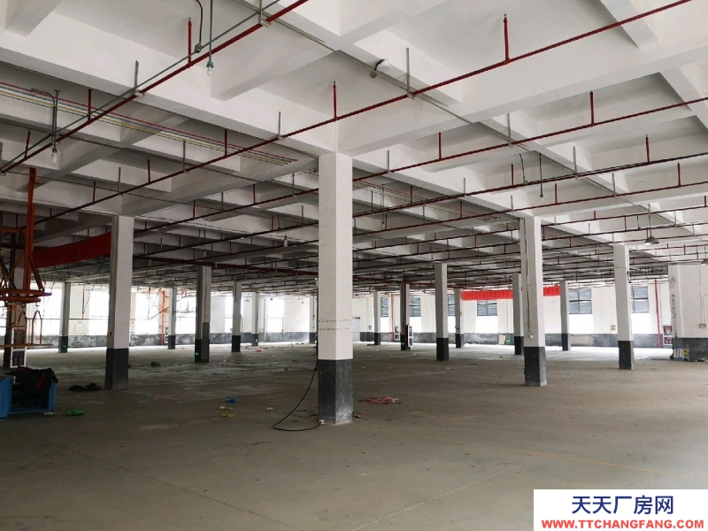 衢州市江山(出租) 交通便利，性价比高，适合仓储办公   食用油、油脂及其制品