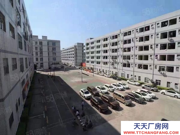 福州市福清饼干厂房  福清渔溪多栋多层厂房50000可分割出租需要福清各种厂房联系