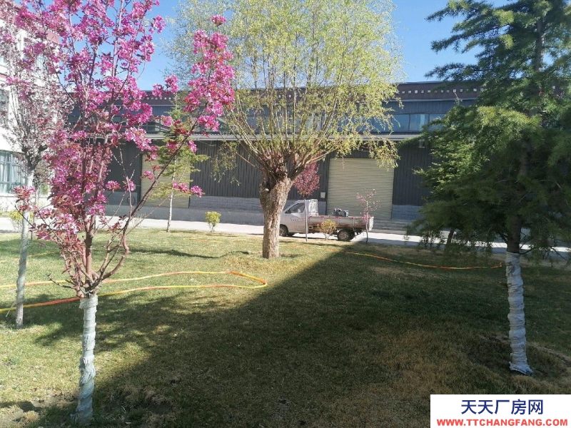 (出租) 拉萨堆龙德庆在大马路边，交通方便，厂房是钢架结构高八米可做其他乳制品类