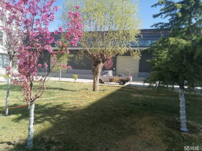(出租) 拉萨堆龙德庆在大马路边，交通方便，厂房是钢架结构高八米可做其他乳制品类图2