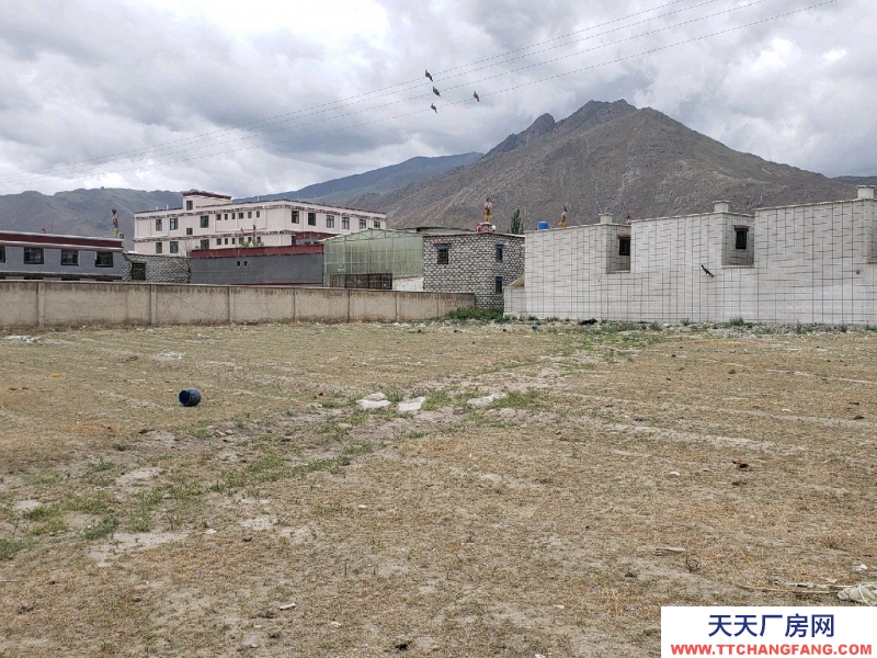 (出租) 拉萨堆龙德庆新建材市场斜对面 仓库 6500平米建材仓库
