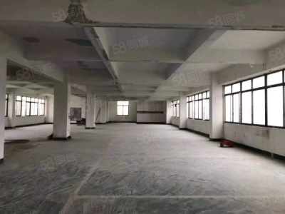 福州市长乐保健食品厂房  高铁长乐站附近营滨路全新厂房出租图1