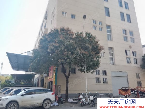 福州市长乐机加工厂房 长乐松下，占地22亩，价格实惠
