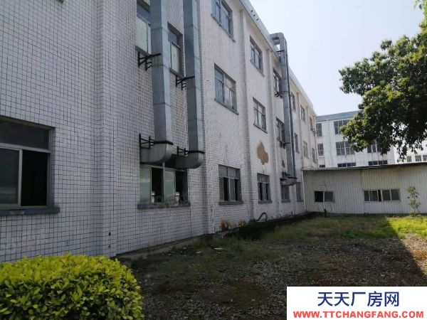 福州市长乐肉制品厂房  长乐松下独门独院厂房低价出售