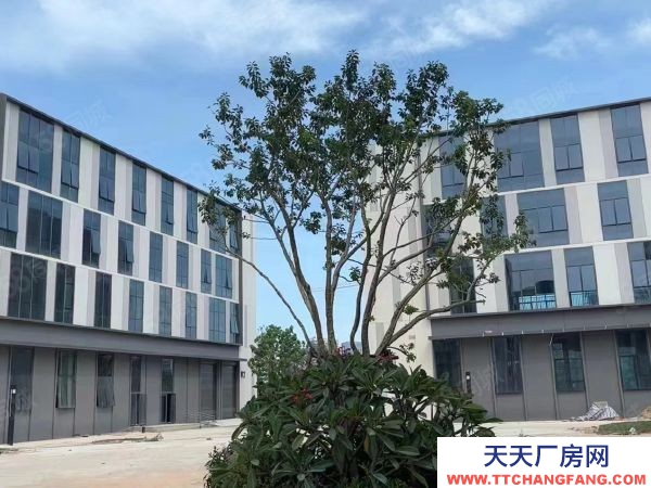 福州市长乐机加工厂房 机场旁全新产业园7.2米层高厂房，50年产权！9月交付