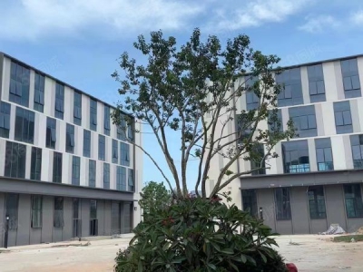 福州市长乐机加工厂房 机场旁全新产业园7.2米层高厂房，50年产权！9月交付图3
