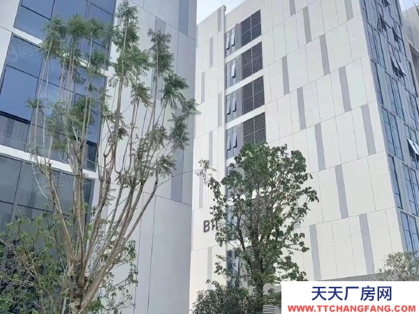 福州市长乐机加工厂房 机场旁全新产业园7.2米层高厂房，50年产权！9月交付