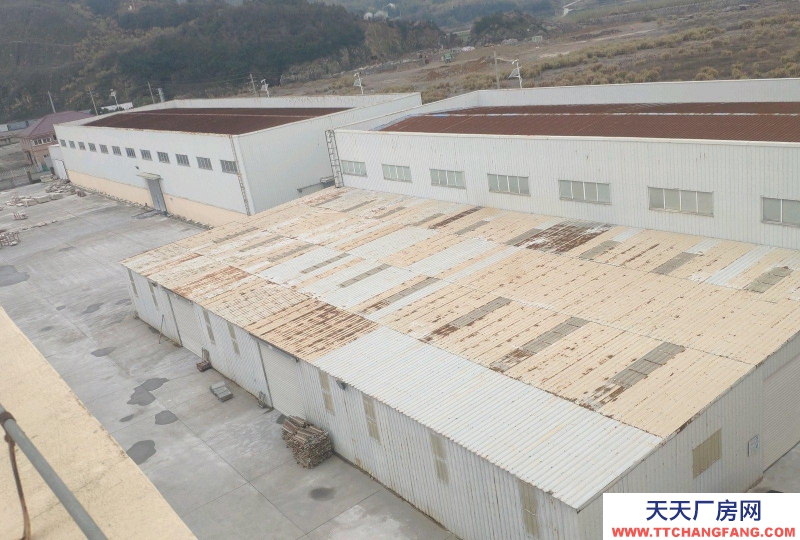 舟山市定海(出售) 位于舟山定海工业园区  可可及焙烤咖啡产品