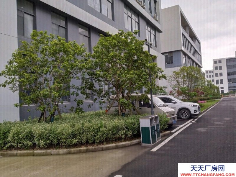 舟山市普陀(出租) 开发商直租全新标准现厂房500㎡起环境好交通便利  食糖