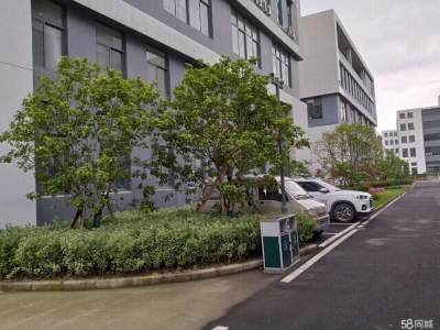 舟山市普陀(出租) 开发商直租全新标准现厂房500㎡起环境好交通便利  食糖图1